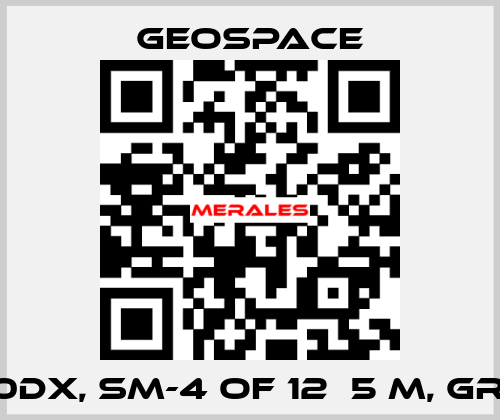 GS-20DX, SM-4 OF 12Х5 M, GROUP  GeoSpace