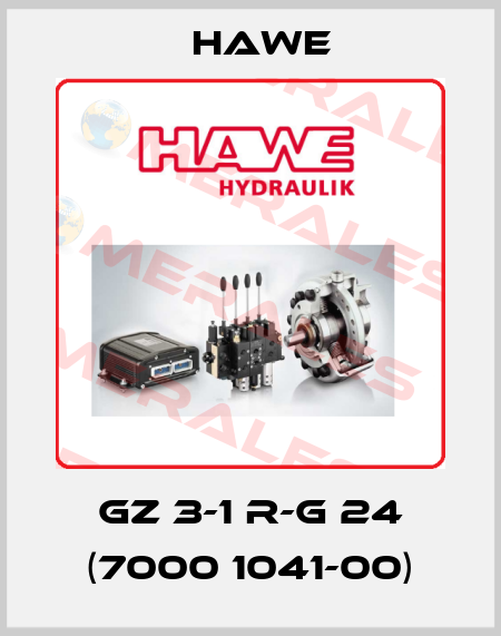 GZ 3-1 R-G 24 (7000 1041-00) Hawe