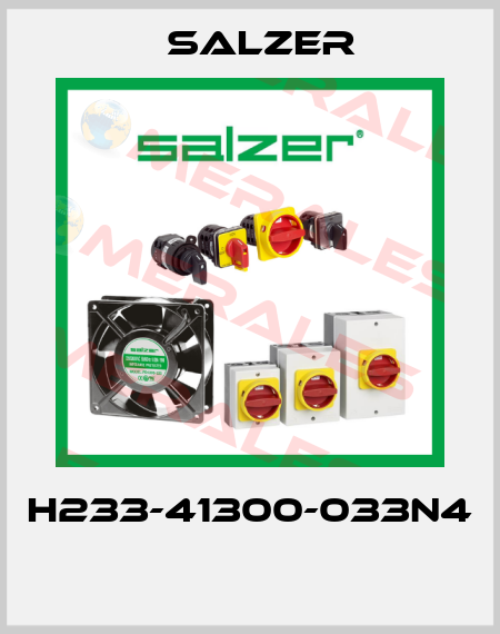 H233-41300-033N4  Salzer