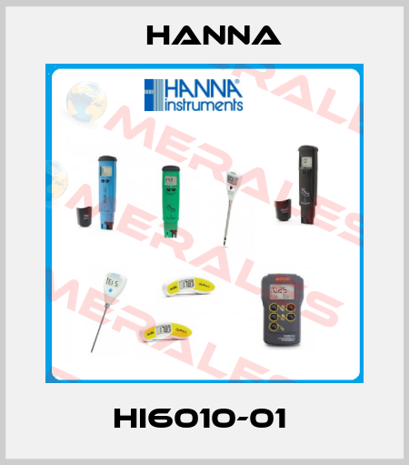 HI6010-01  Hanna