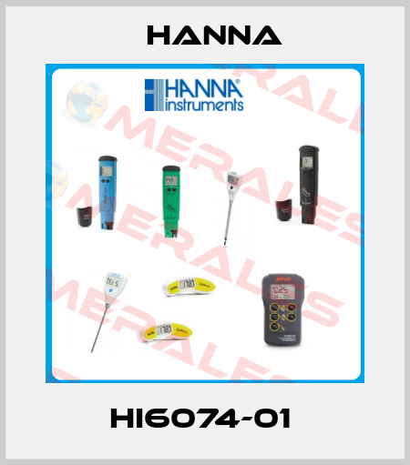 HI6074-01  Hanna
