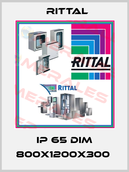 IP 65 DIM 800X1200X300  Rittal