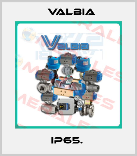 IP65.  Valbia