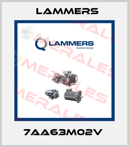 7AA63M02V  Lammers