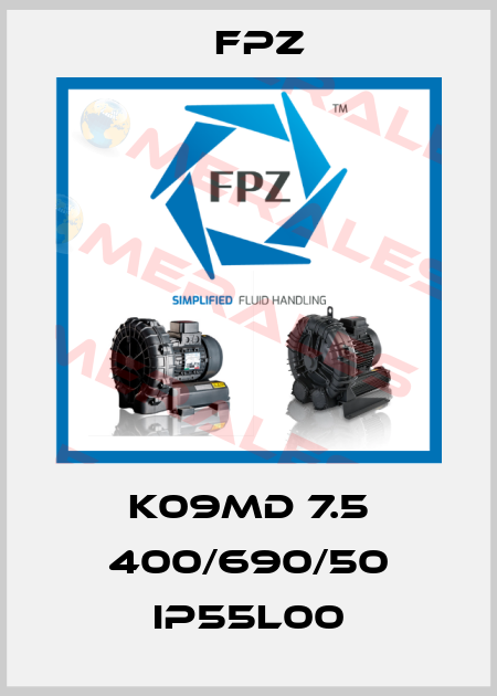 K09MD 7.5 400/690/50 IP55L00 Fpz