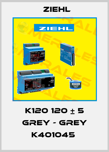 K120 120 ± 5 GREY - GREY K401045  Ziehl