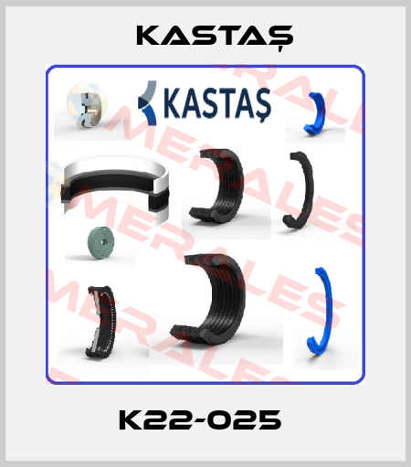 K22-025  Kastaş