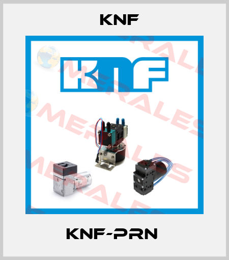 KNF-PRN  KNF