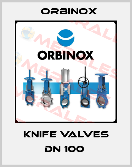 Knife Valves DN 100  Orbinox