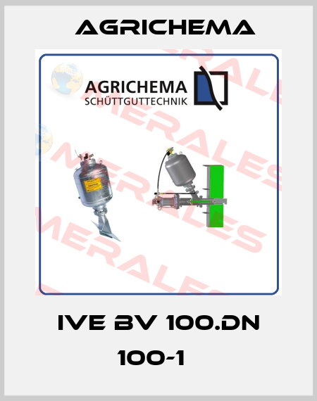 IVE BV 100.DN 100-1   Agrichema