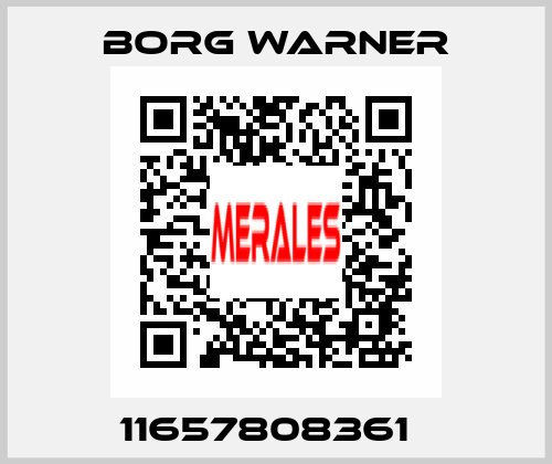 11657808361   Borg Warner