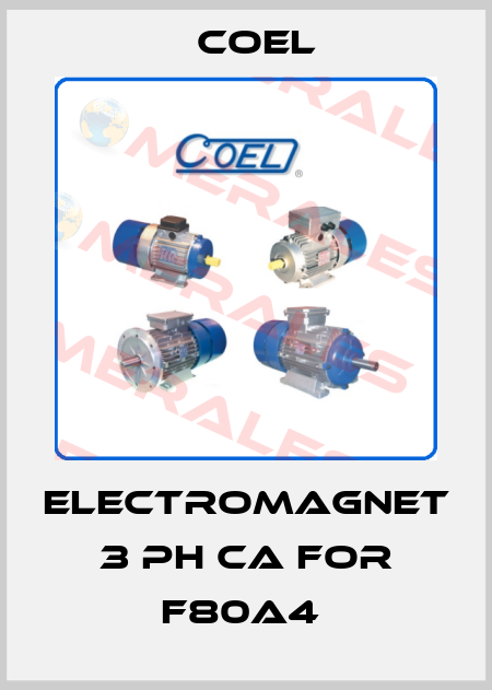Electromagnet 3 PH CA for F80A4  Coel