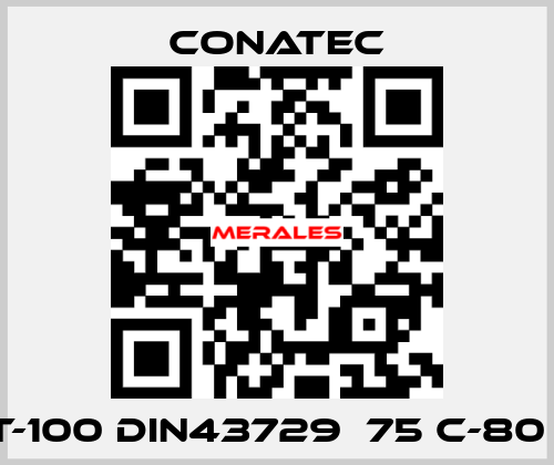 PT-100 DIN43729  75 C-80 C  Conatec