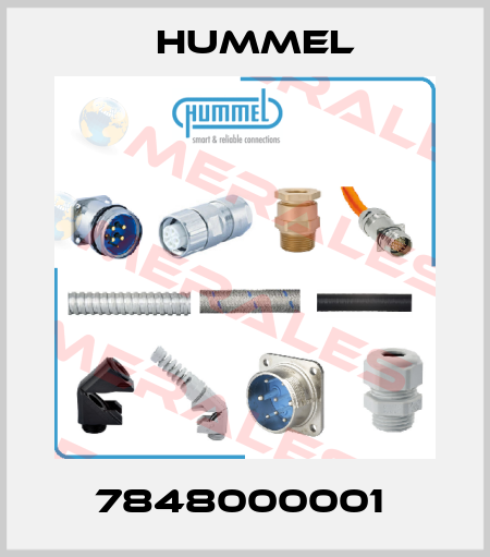 7848000001  Hummel