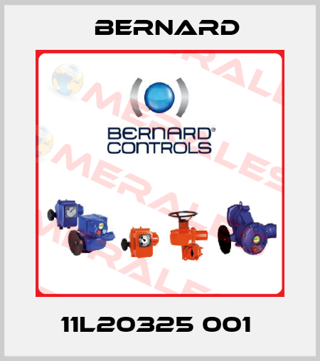 11L20325 001  Bernard