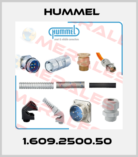 1.609.2500.50  Hummel