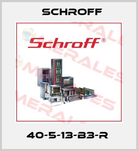 40-5-13-B3-R  Schroff