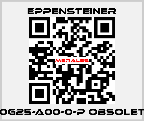 2.10G25-A00-0-P obsolete   Eppensteiner