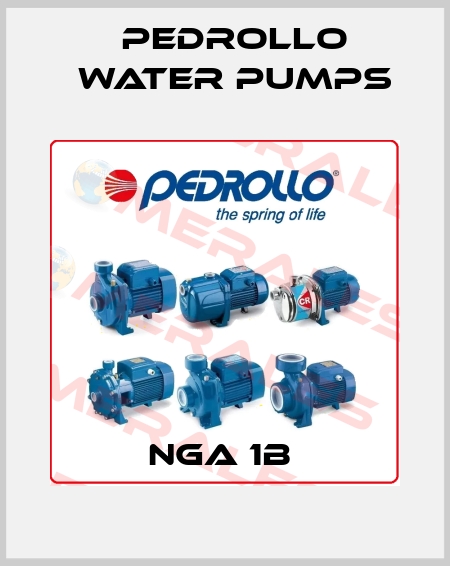 NGA 1B  Pedrollo Water Pumps