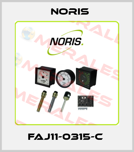 FAJ11-0315-C  Noris