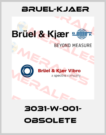 3031-W-001- obsolete   Bruel-Kjaer