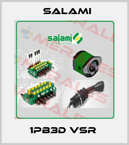 1PB3D VSR  Salami