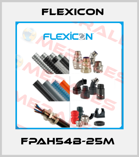 FPAH54B-25M  Flexicon