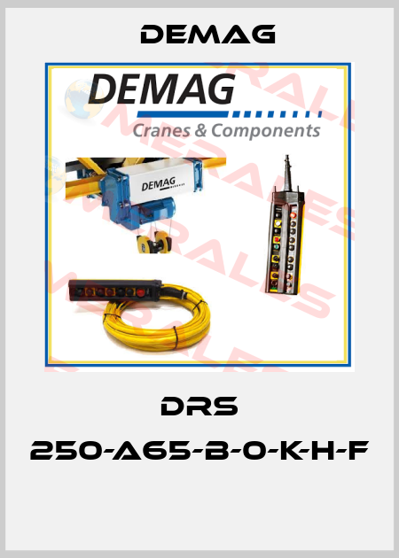 DRS 250-A65-B-0-K-H-F  Demag