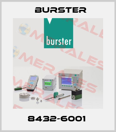 8432-6001  Burster
