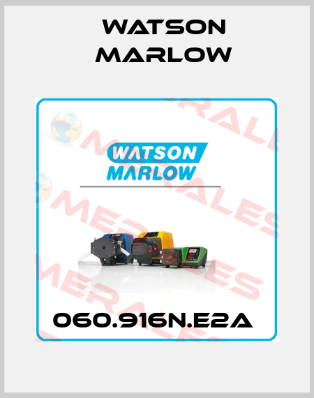 060.916N.E2A  Watson Marlow