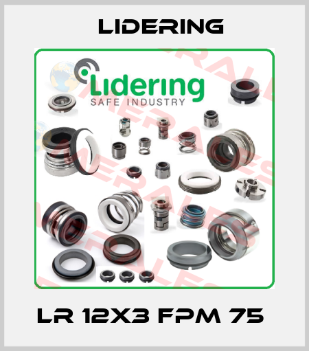 LR 12X3 FPM 75  Lidering