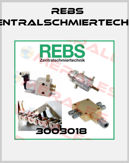3003018   Rebs Zentralschmiertechnik