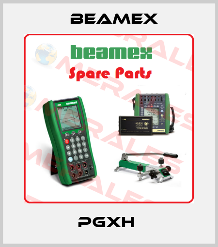 PGXH  Beamex