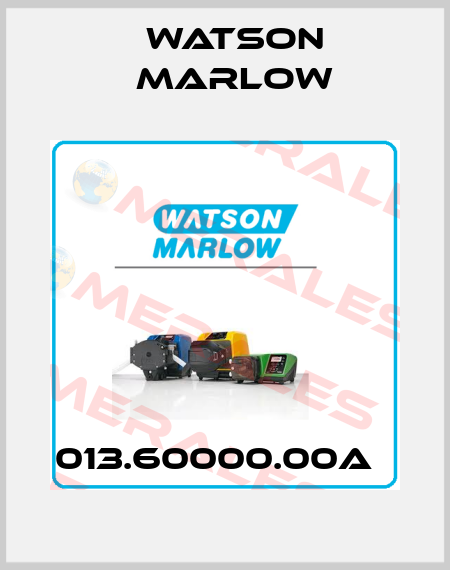 013.60000.00A   Watson Marlow
