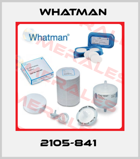 2105-841  Whatman