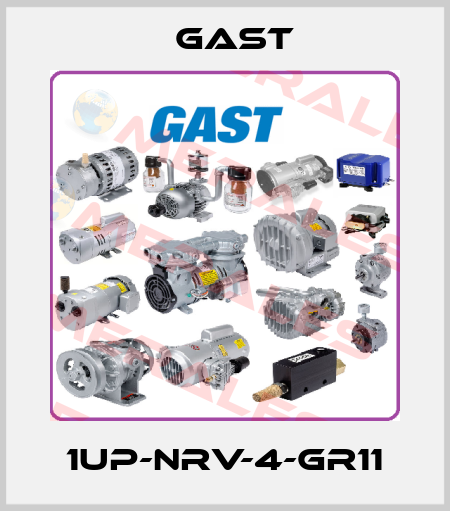 1UP-NRV-4-GR11 Gast