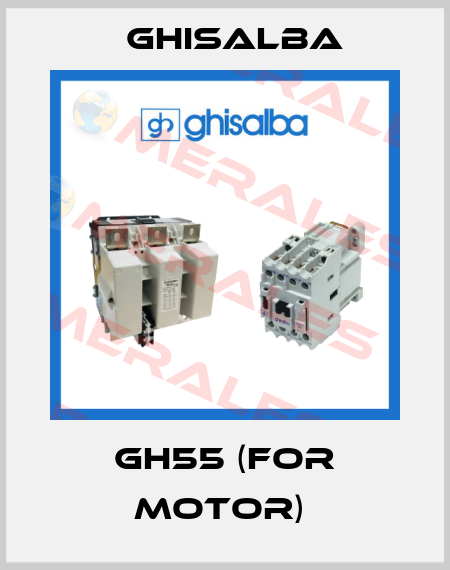 GH55 (for Motor)  Ghisalba