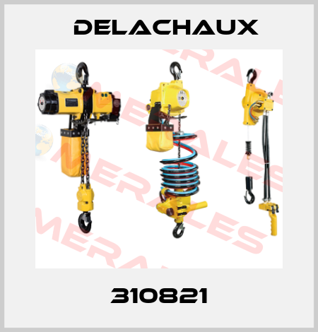 310821 Delachaux