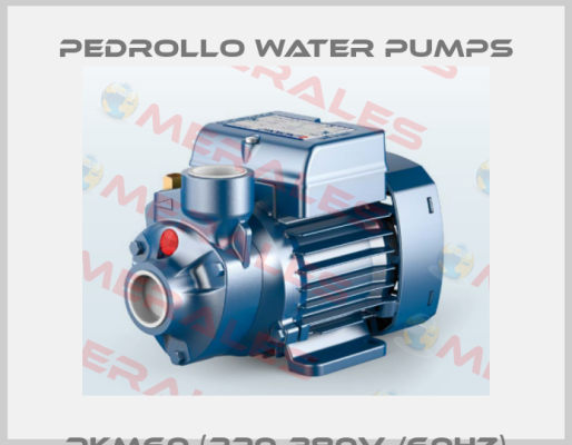 PKm60 (220-380V /60hz) Pedrollo Water Pumps