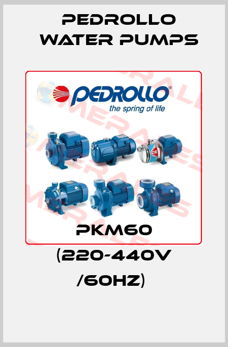 PKm60 (220-440V /60hz)  Pedrollo Water Pumps
