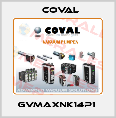 GVMAXNK14P1  Coval