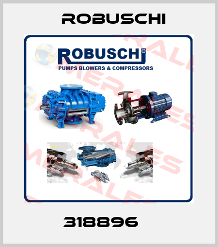 318896    Robuschi