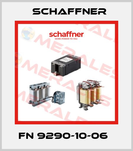 FN 9290-10-06   Schaffner