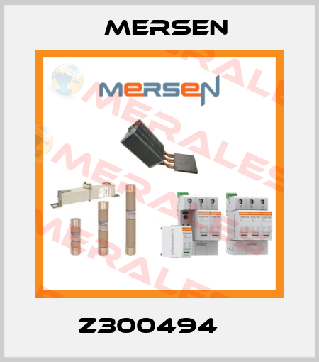 Z300494    Mersen