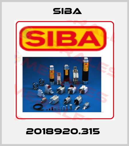  2018920.315  Siba