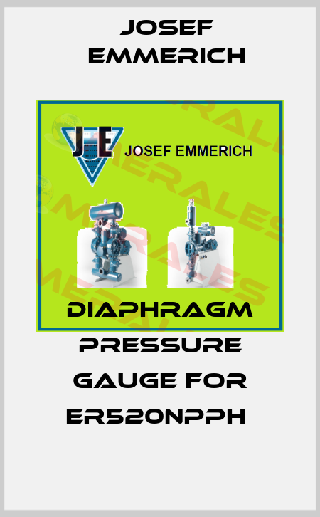 Diaphragm pressure gauge for ER520NPPH  Josef Emmerich