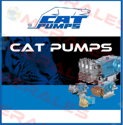 110672 old code! new code  49788 Cat Pumps