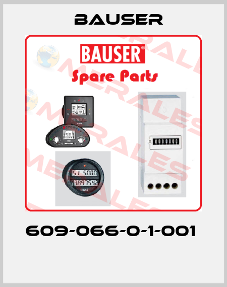 609-066-0-1-001   Bauser
