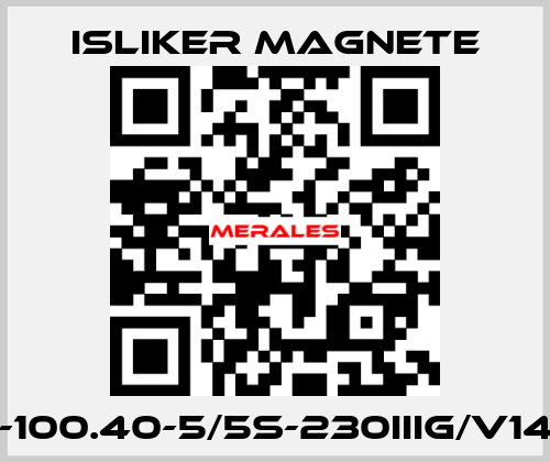 GIu-100.40-5/5S-230IIIG/V1495  ISLIKER MAGNETE