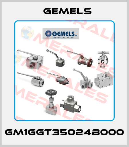 GM1GGT35024B000 Gemels